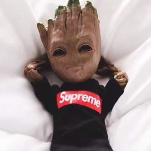 Meet your Posher, Trey